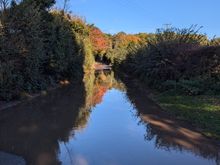 Autumn in England 