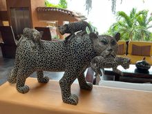 Kitty cats