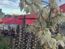 view from the outdoor patio at Old Stove

