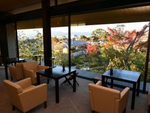 5 floor tea room