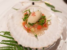 Iwate scallop with banana oyster ice cream