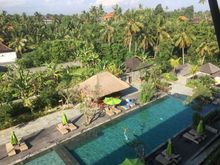 Elements pool view
