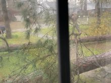 View out a front window 