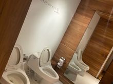 Weirdest bathroom ever. Hold hands with a buddy while going number two?!
