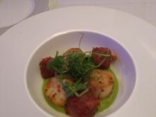 Starters