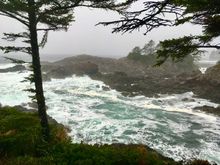 The Wild Pacific Trail