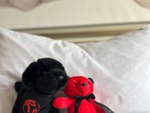 Both are sold in the store. I had asked for the red Conrad bear because of how Conrad offers plush toys. Housekeeping kept giving me push back and then it showed up in my room one day so I can’t tell if it’s supposed to be complimentary or not?
