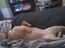 I'm tired after running at the park for a few hours