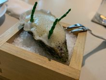 David Herve Oyster, Green curry, Coconut 