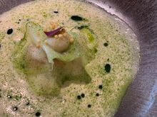 Brittany scallop, kohl rabi