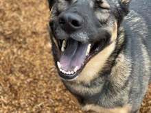 "That's hilarious!"
