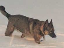 This was taken about 5:30 PM today. 