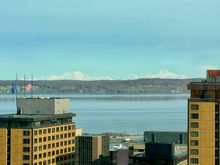 Foraker & McKinley (highest N.A. peaks)