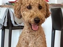 And she says hi to her distant cousins! 😊