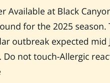 Outbreak was underselling it