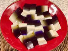 Bunga terlang / butterfly blue pea flower agar agar