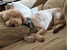 Easy like Sunday morning