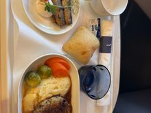 I found this a much better service than BA. Nice starter of smoked small fish and then the game patty with mash. Happy customer. 