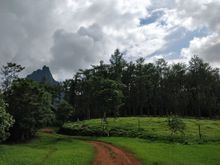 Moorea's backyard