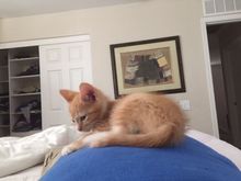 She went on my stomach. 