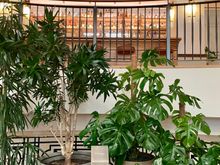Club floor reserved for guests and club members