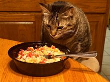 Gaby Baby trying to steal our chicken pozole bowl.
