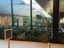 Plenty of lush planted vegetation which has a calming affect upon entering. 