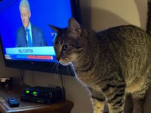 George has definite opinions.  
