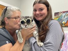 Anpu got to go visit his girlfriends at the vet today.
