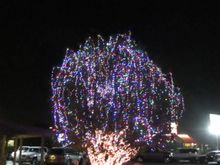 Outside Hodel's Bakersfield, California