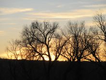 Sunset 18th December 2017  Rifle, Colorado