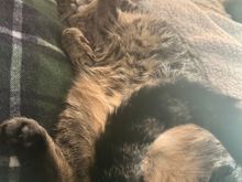 Fred’s dating profile
