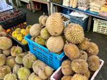 Lots of durian being grown and sold in the region.