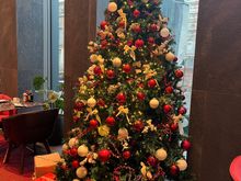 More conventional Christmas trees in the lobby