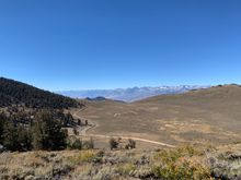 The trees only grow on the west facing slopes and over a certain elevation. On the west side of the road, it was bare. 