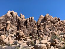 I tried to climb this rock pile. Acting like I was in my 30s again. 