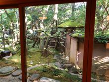 Garden view from dining room