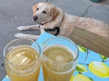 L-Fine New Thing
R- Way Up There
 
not all that different :/