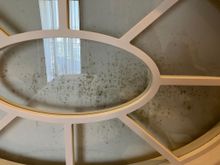 Moldy bathroom screen