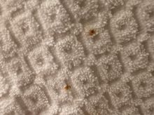 Bloody towel