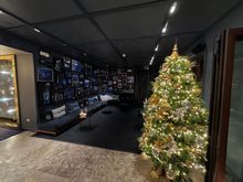 Tree in the bar and at the entrance to the restaurant.  Hyatt Centric Murano.  