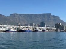 Table mountain and waterfront, coming back from Robben Island.