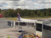 My bird is in view from the lounge