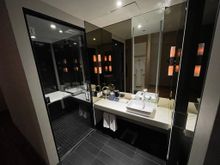 Bathroom area largely the same with shower, tub, and toilet. Think its identical décor as the King Deluxe.