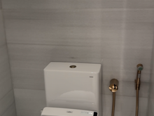 The toilet comes with a bidet, of course