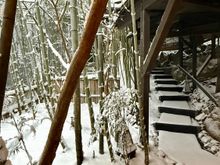 View from the front door