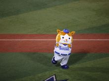 Bay Stars Mascot