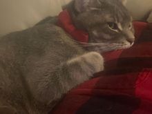 Looks like it is cold outside.   