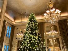 Hotel de Crillon, Paris (Jardin d’Hiver)