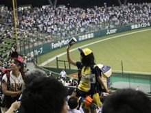 Beer Girl-Seibu Lions